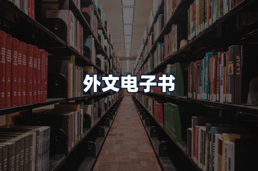 外文电子书